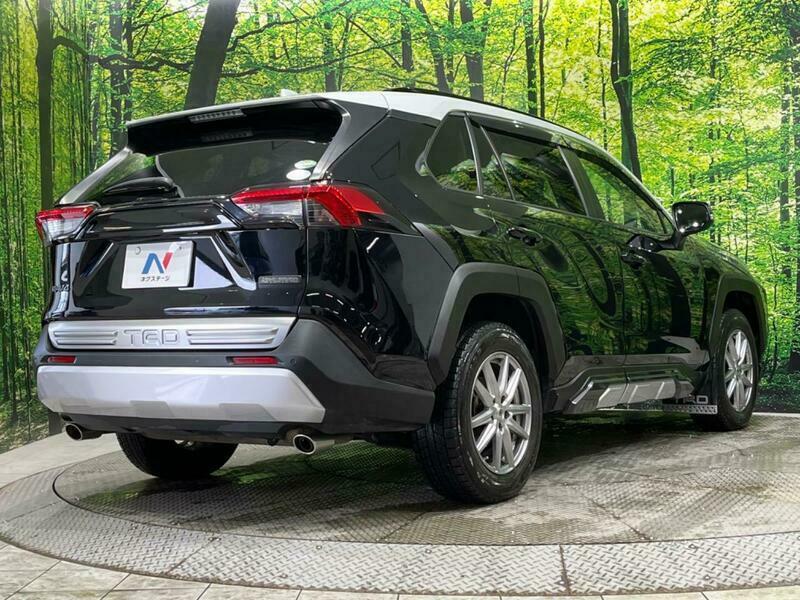 RAV4-42