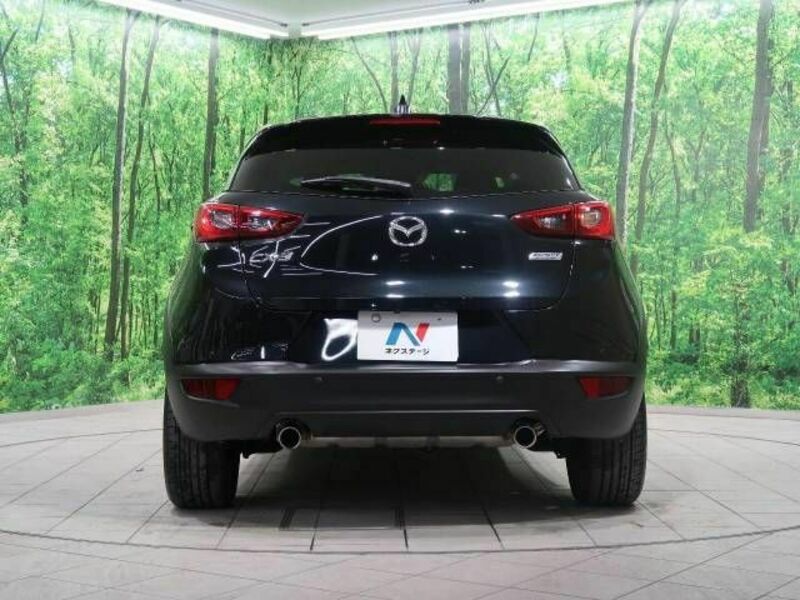 CX-3-15