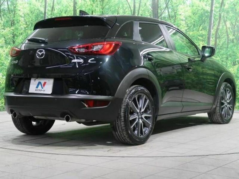 CX-3-17