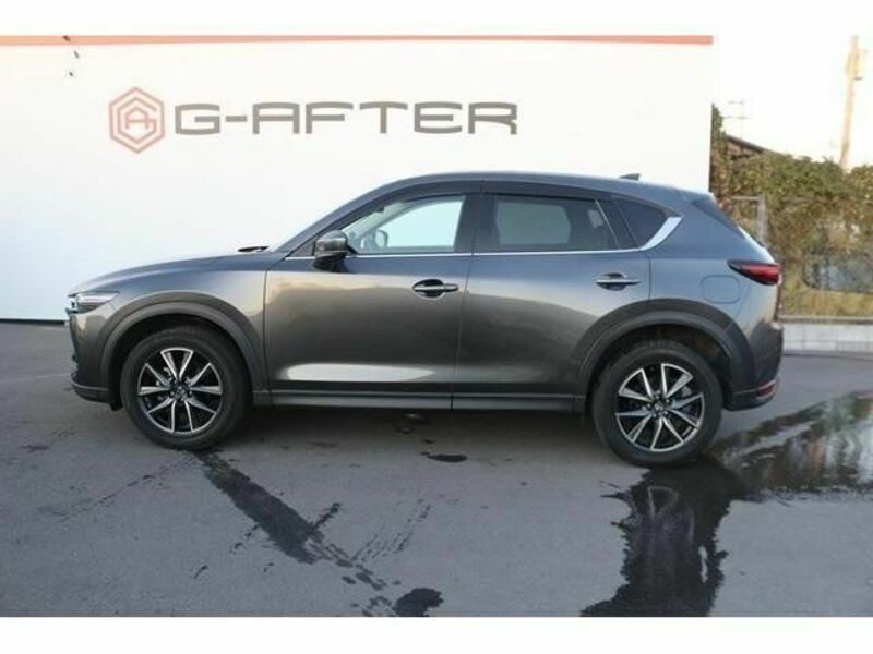 CX-5-8