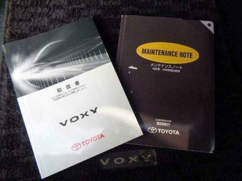VOXY-11