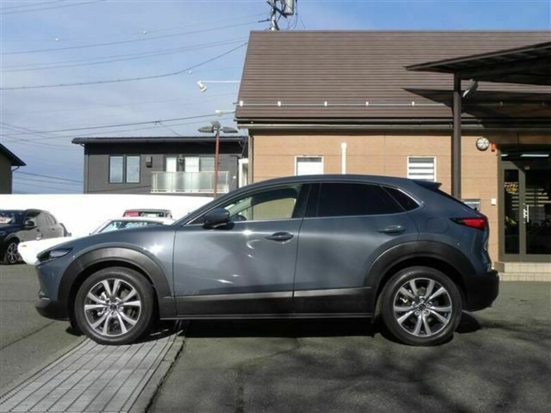 CX-30-4