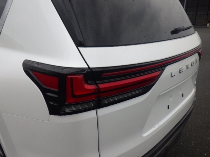LX