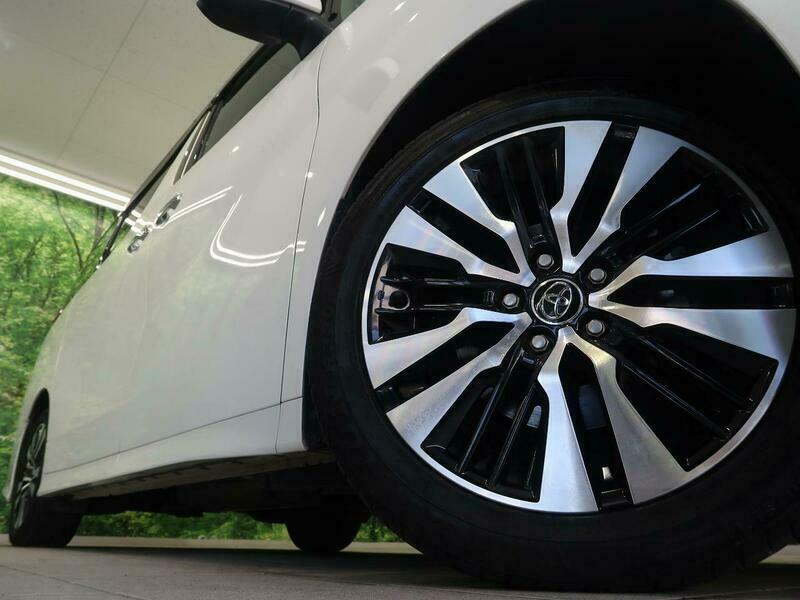 ALPHARD-6