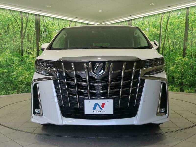 ALPHARD-3