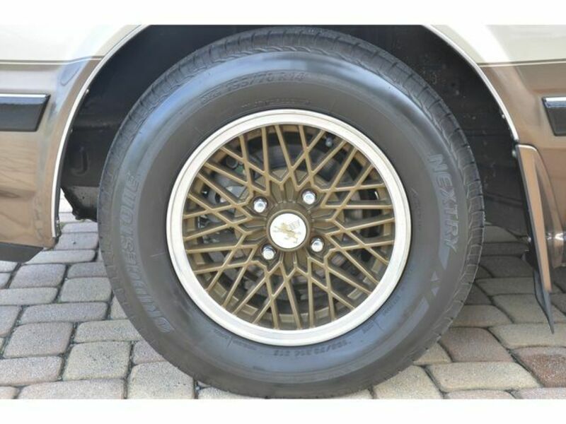 SOARER