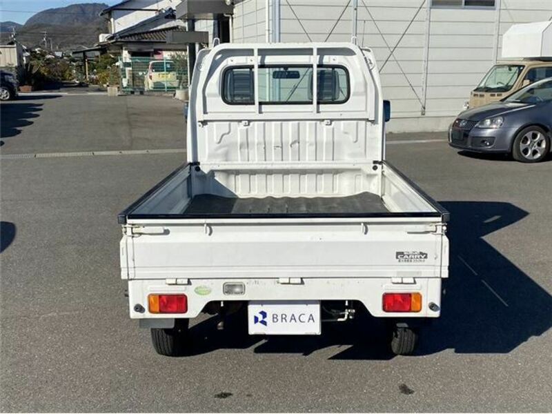 CARRY TRUCK-8