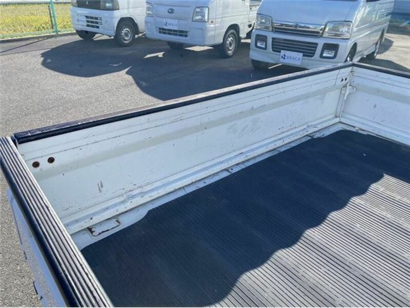 CARRY TRUCK-29