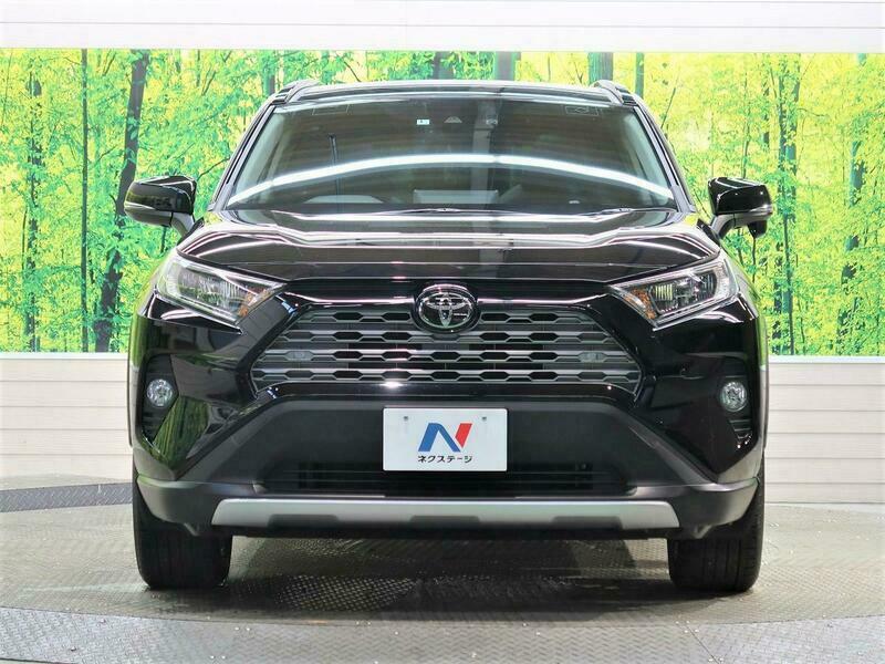 RAV4-19