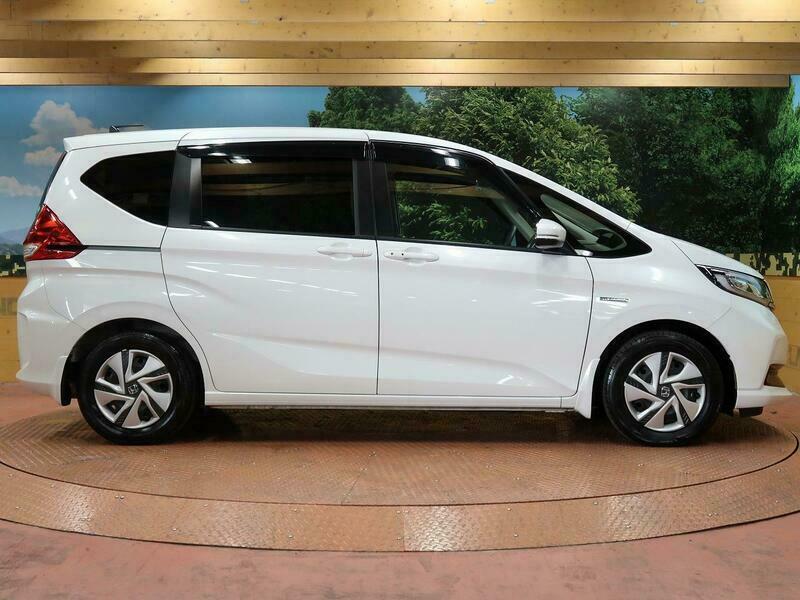 FREED HYBRID-21