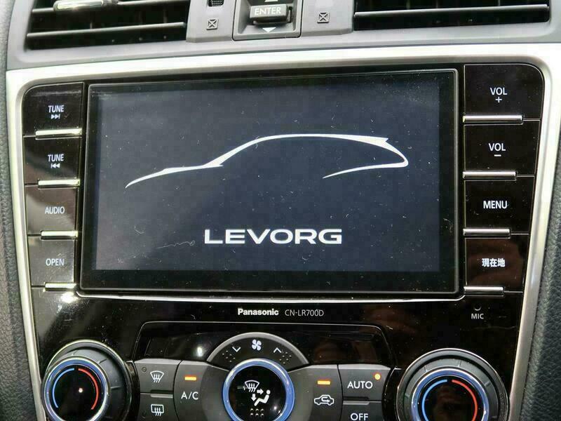 LEVORG-50