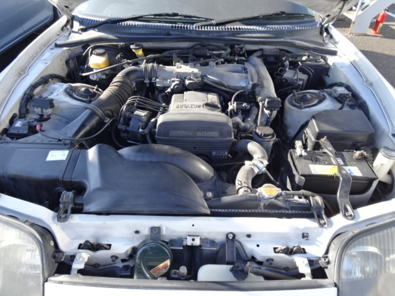 SUPRA