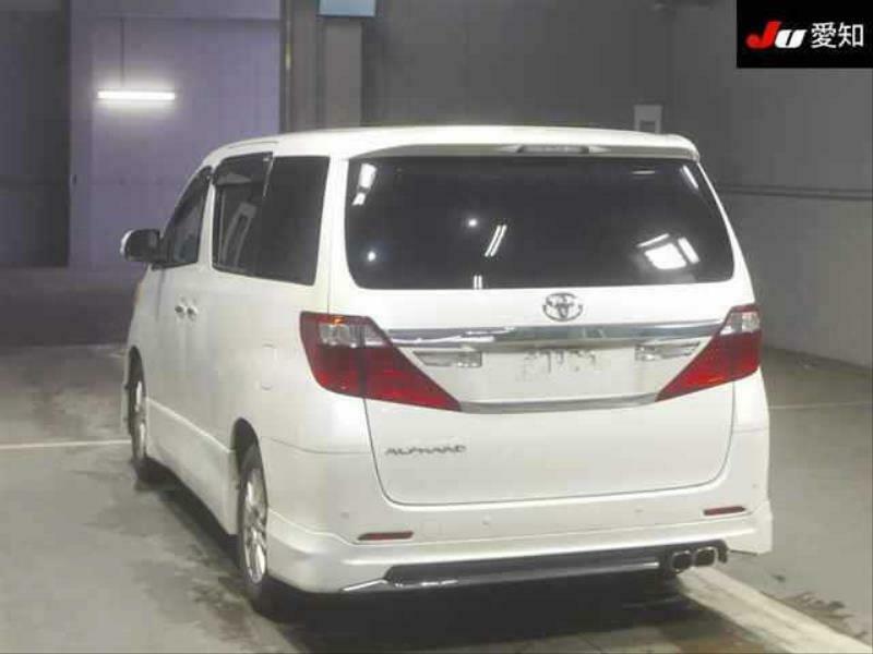 ALPHARD-1