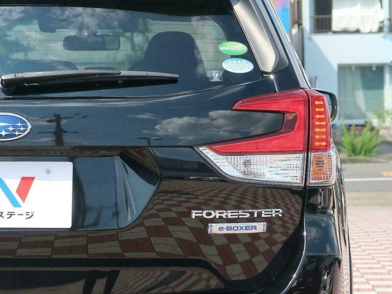 FORESTER