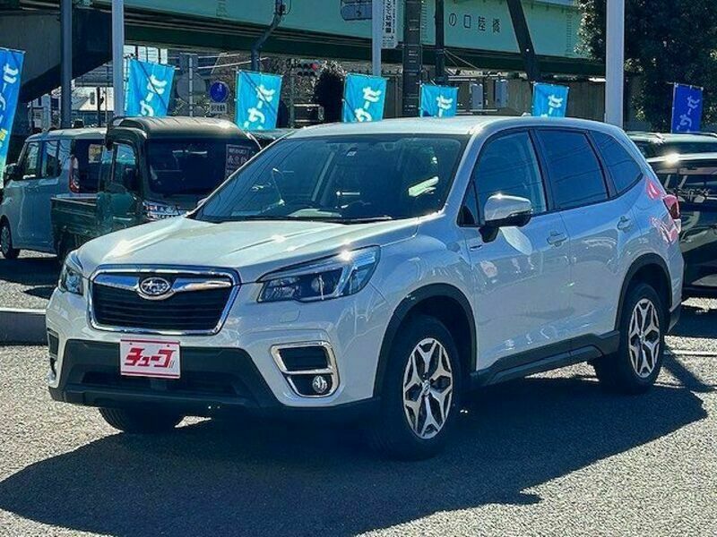 FORESTER-0