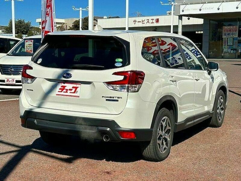 FORESTER