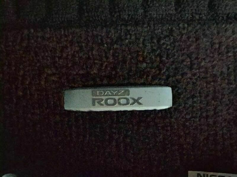 DAYZ ROOX-23