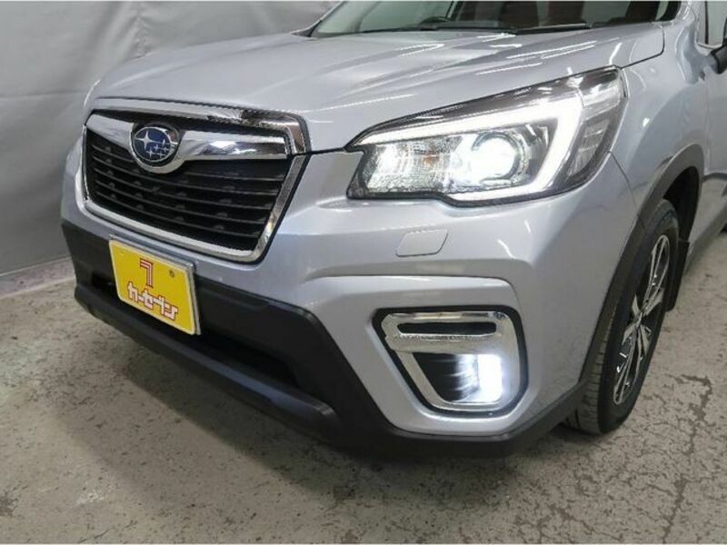 FORESTER-24