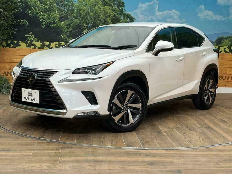 LEXUS　NX