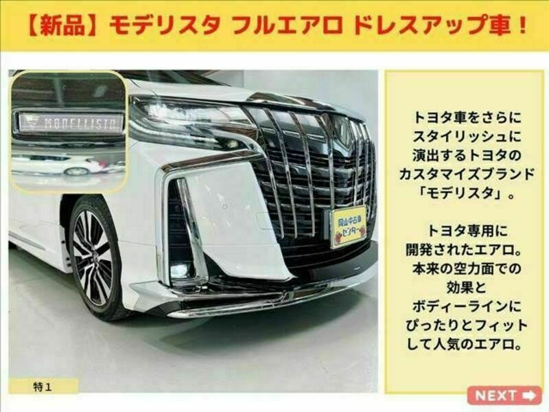 ALPHARD-10