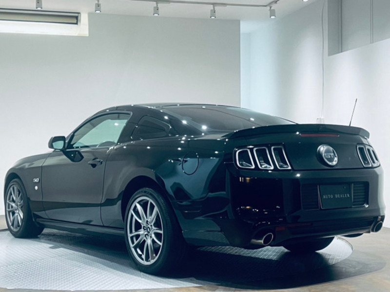 MUSTANG