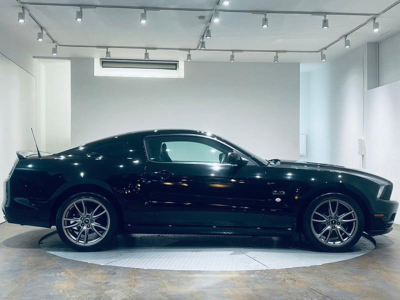 MUSTANG