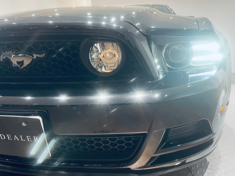 MUSTANG