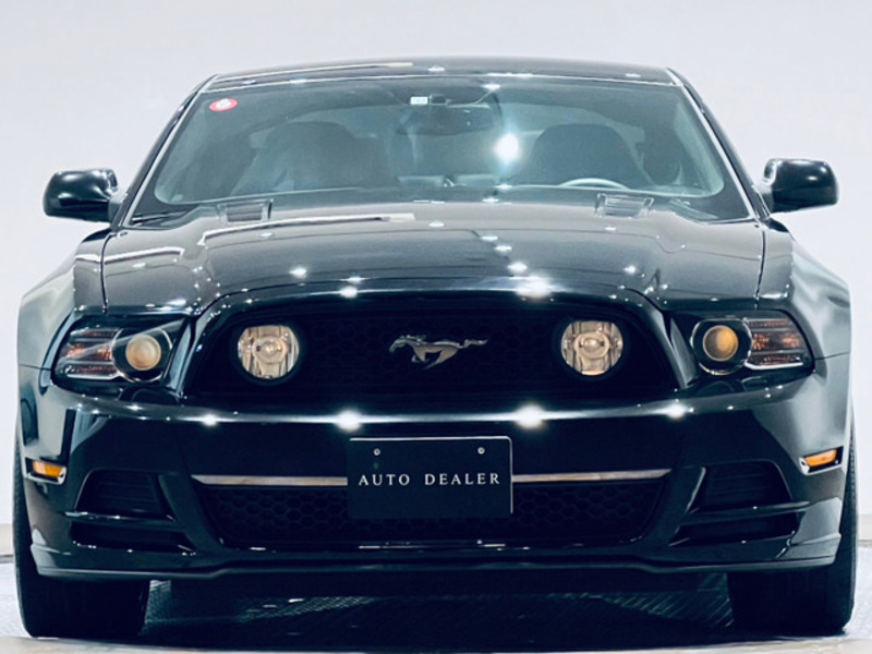 MUSTANG
