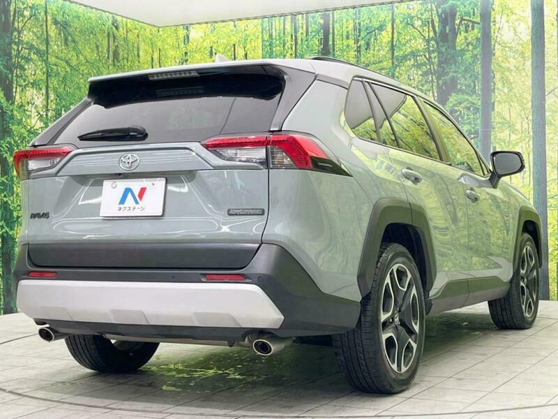 RAV4-19