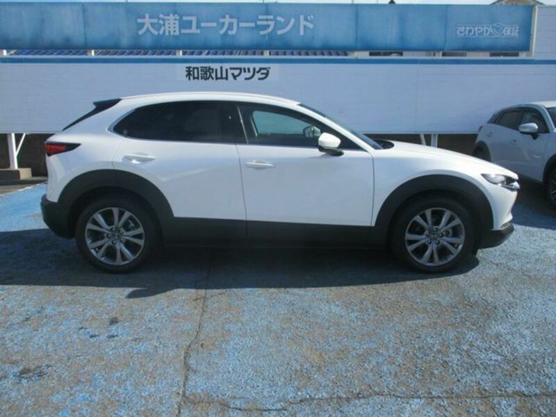 CX-30-6