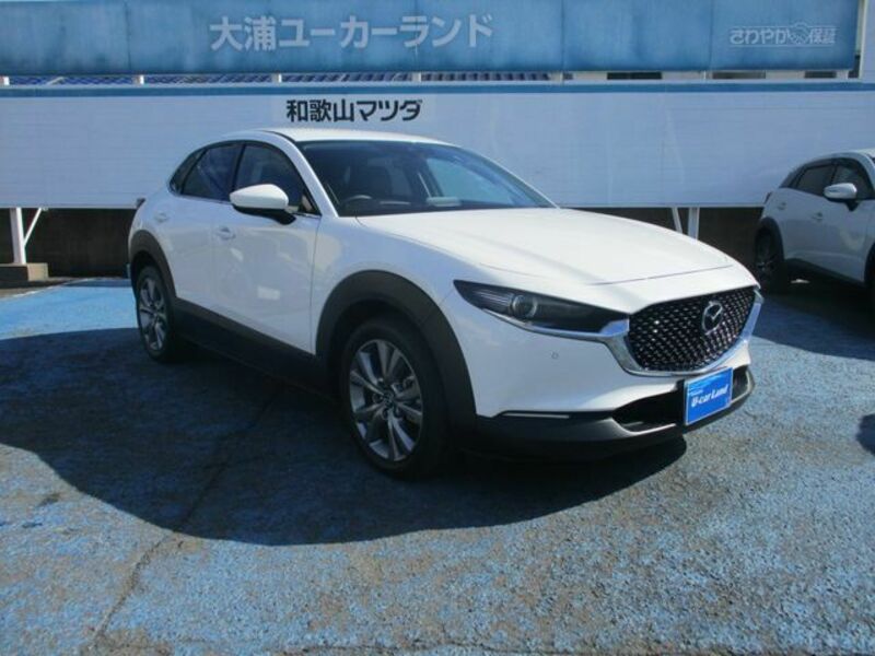 CX-30-8