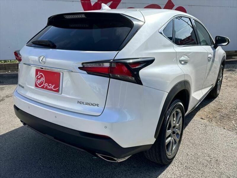 NX