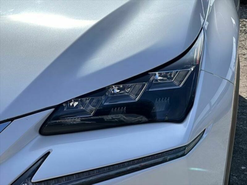 NX
