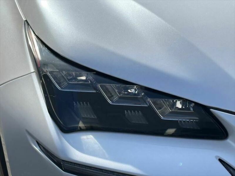 NX