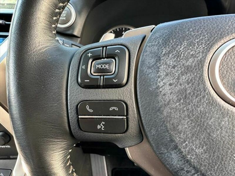 NX