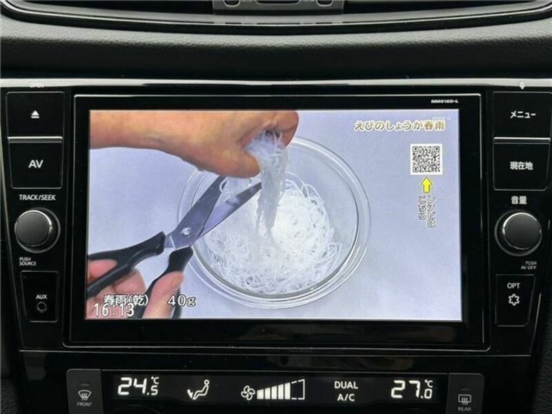 X-TRAIL-29