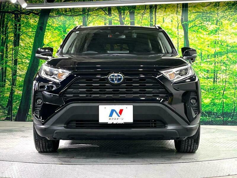 RAV4-54