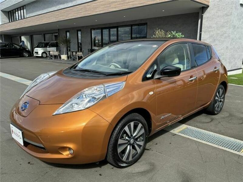 LEAF-7