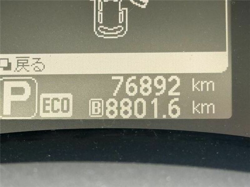 LEAF-46