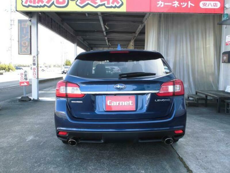 LEVORG