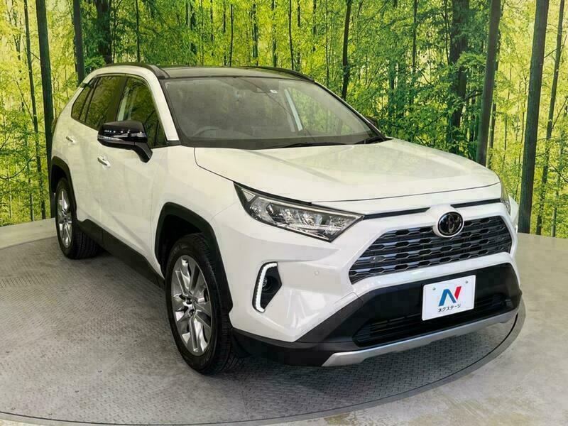 RAV4-17