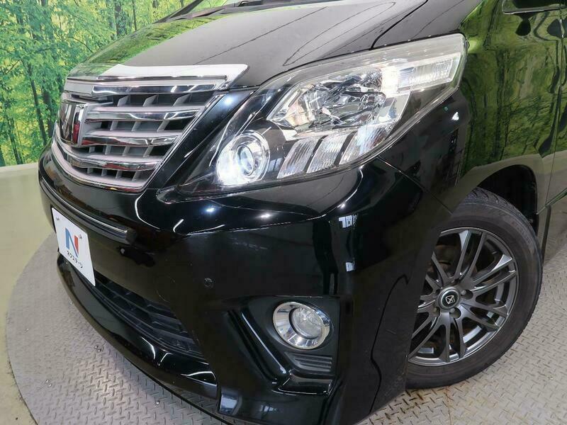 ALPHARD-37