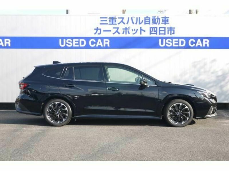 LEVORG-9