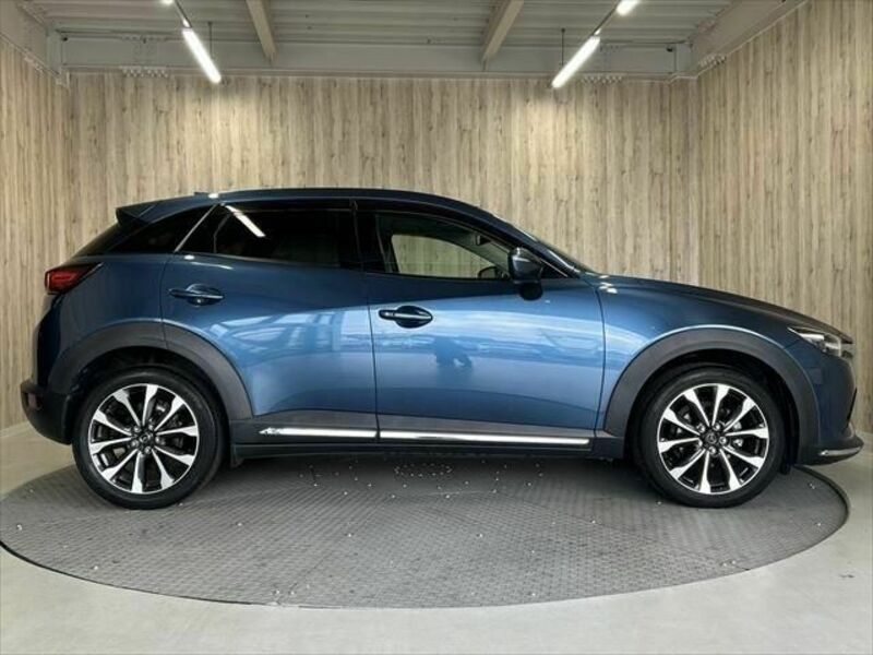 CX-3-3