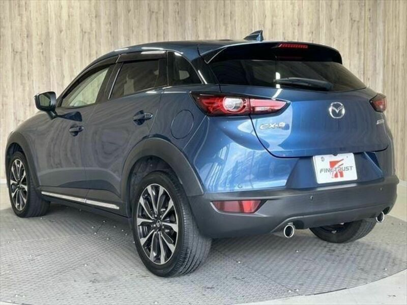 CX-3-6