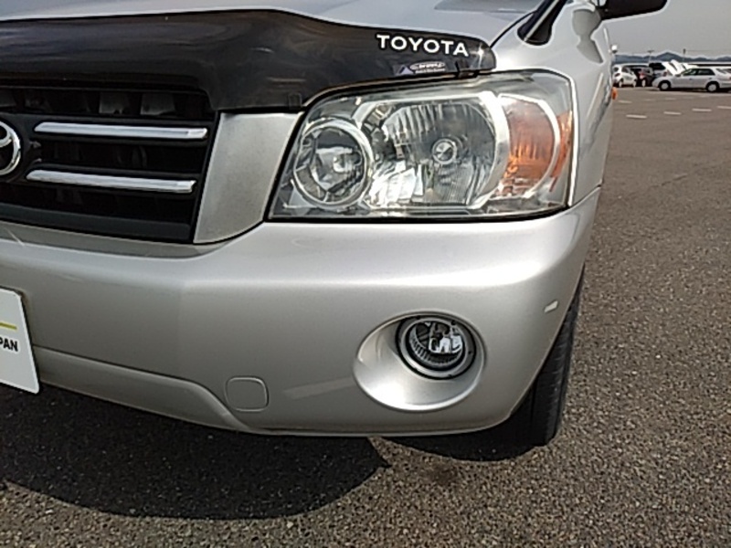 KLUGER L