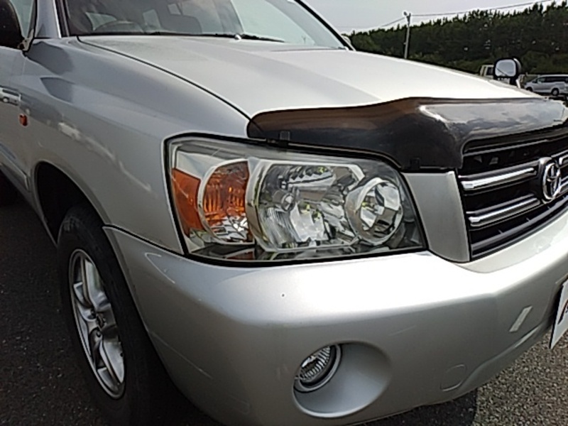 KLUGER L