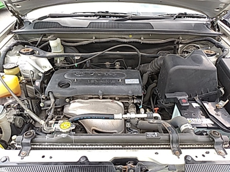 KLUGER L