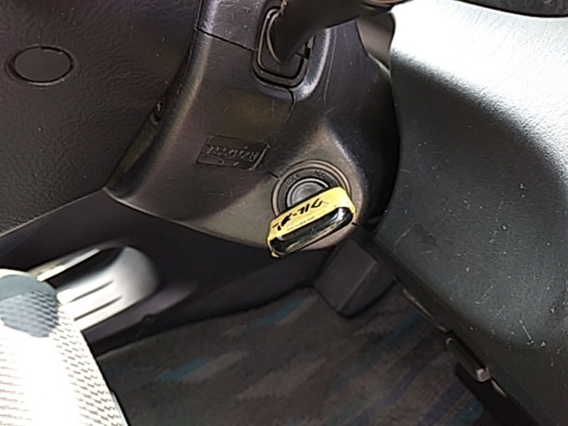 KLUGER L