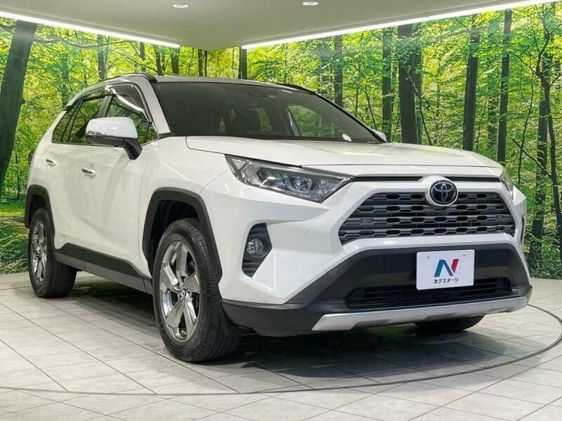 RAV4-53